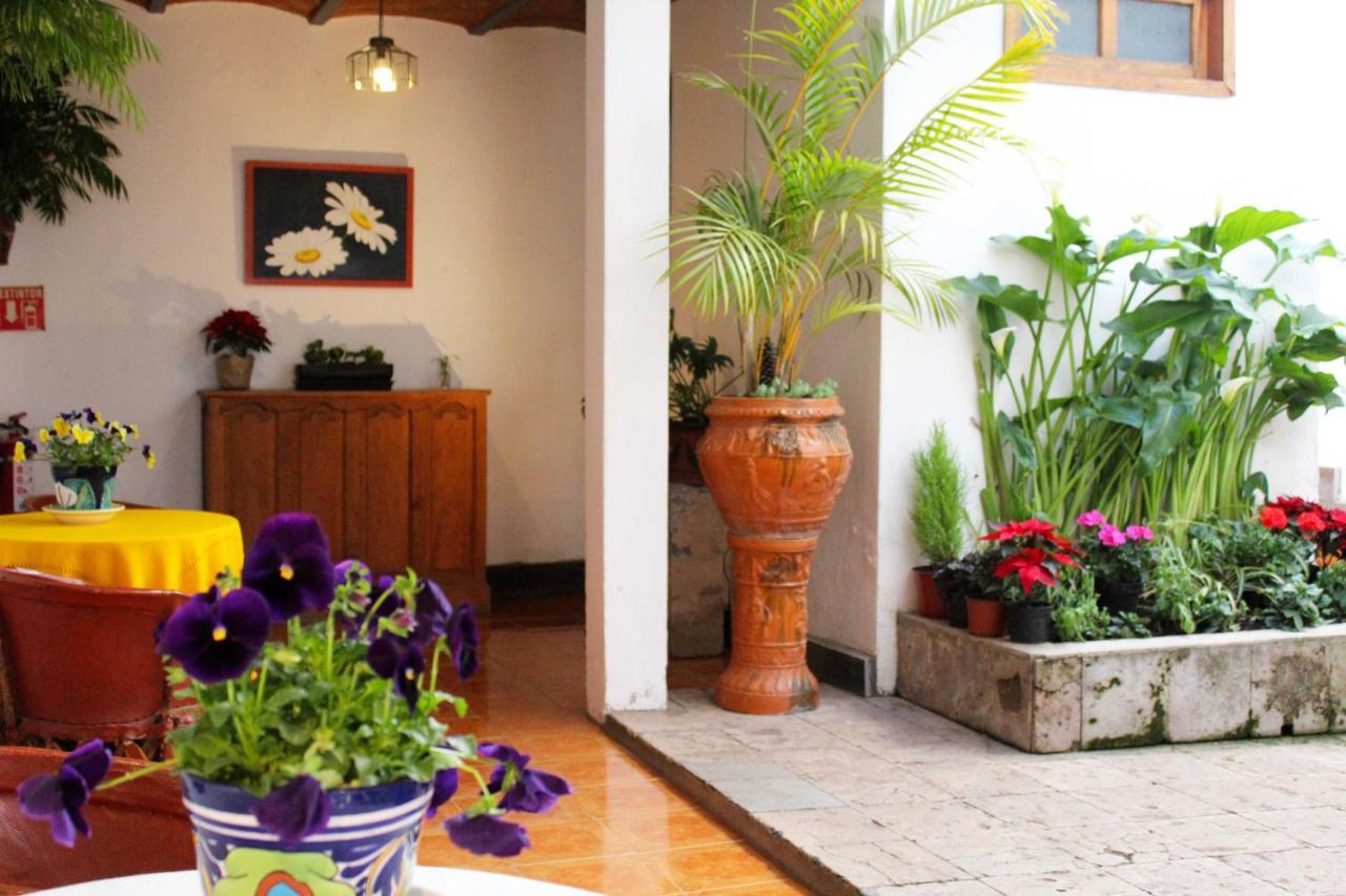 Las Margaritas Hotel Posada タパルパ エクステリア 写真